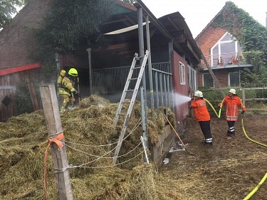 Einsatz_19.07.2019_Bolsehle